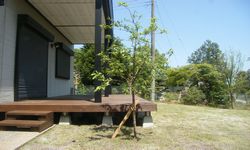 剪定・植栽